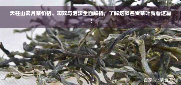 天柱山玄月茶价格、功效与泡法全面解析，了解这款名贵茶叶就看这篇！