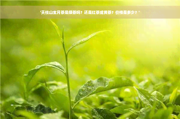 '天柱山玄月茶是绿茶吗？还是红茶或黄茶？价格是多少？'