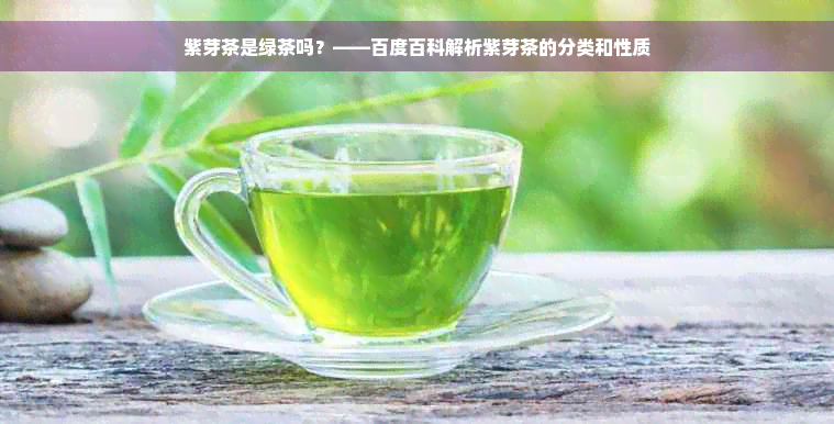 紫芽茶是绿茶吗？——百度百科解析紫芽茶的分类和性质