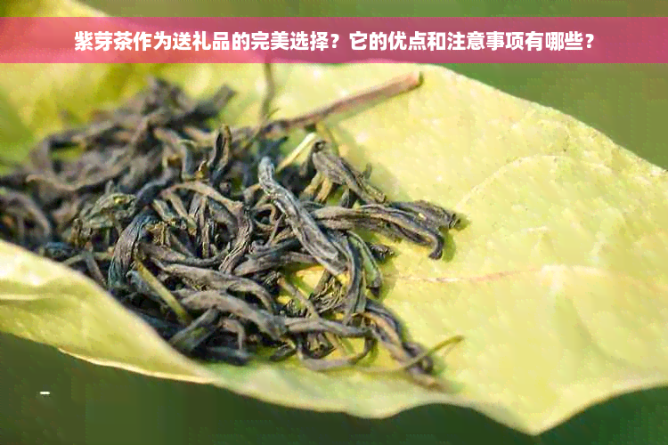 紫芽茶作为送礼品的完美选择？它的优点和注意事项有哪些？