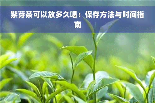 紫芽茶可以放多久喝：保存方法与时间指南