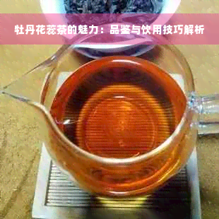 牡丹花蕊茶的魅力：品鉴与饮用技巧解析