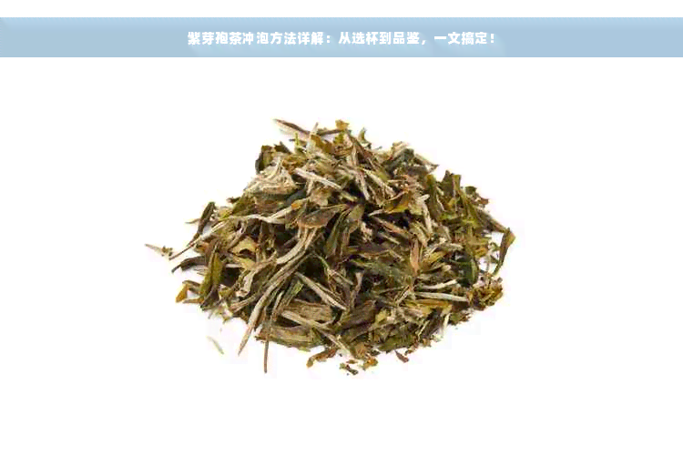 紫芽孢茶冲泡方法详解：从选杯到品鉴，一文搞定！