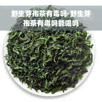 野生芽孢茶有毒吗-野生芽孢茶有毒吗能喝吗