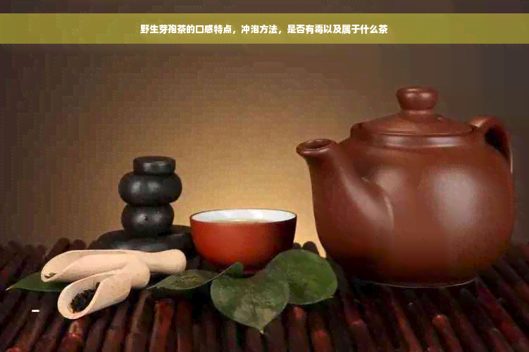 野生芽孢茶的口感特点，冲泡方法，是否有毒以及属于什么茶