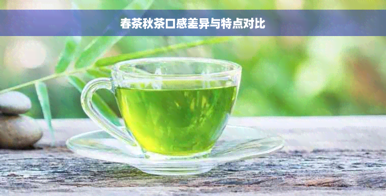 春茶秋茶口感差异与特点对比