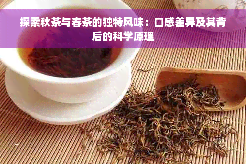 探索秋茶与春茶的独特风味：口感差异及其背后的科学原理