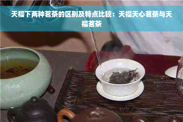 天福下两种茗茶的区别及特点比较：天福天心茗茶与天福茗茶