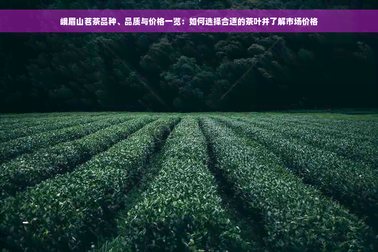 峨眉山茗茶品种、品质与价格一览：如何选择合适的茶叶并了解市场价格