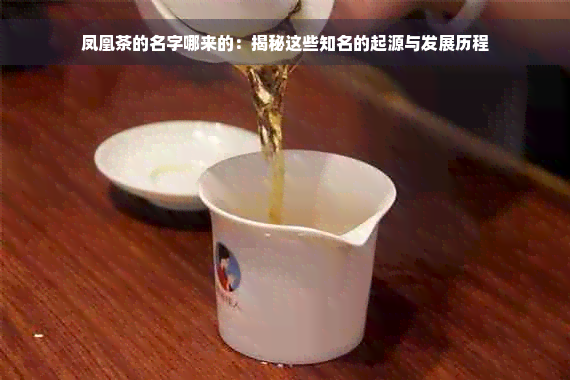 凤凰茶的名字哪来的：揭秘这些知名的起源与发展历程