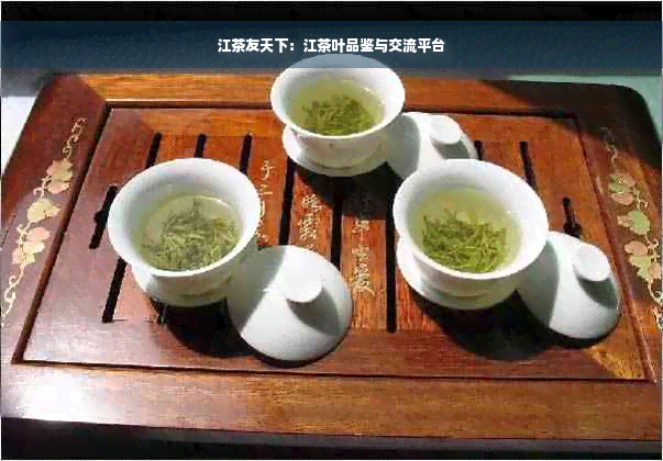 江茶友天下：江茶叶品鉴与交流平台