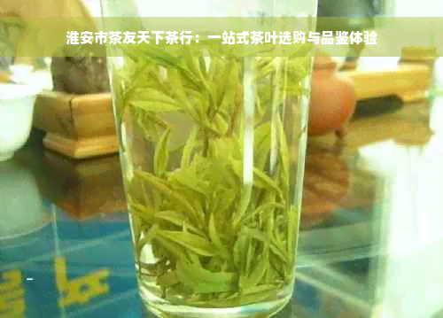 淮安市茶友天下茶行：一站式茶叶选购与品鉴体验