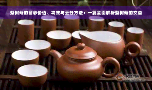 茶树菇的营养价值、功效与烹饪方法：一篇全面解析茶树菇的文章