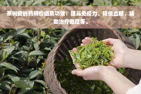 茶树菇的药用价值及功效：提高免疫力、降低血糖、辅助治疗癌症等。