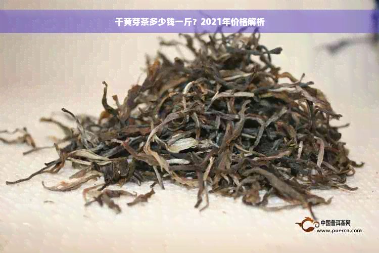 干黄芽茶多少钱一斤？2021年价格解析