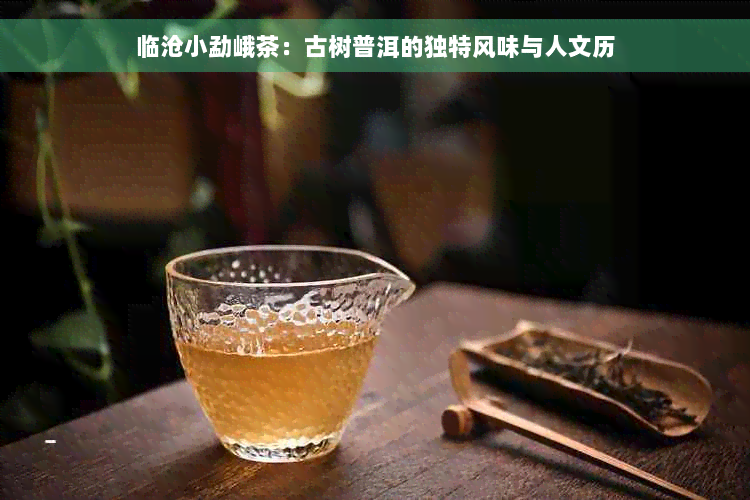 临沧小勐峨茶：古树普洱的独特风味与人文历