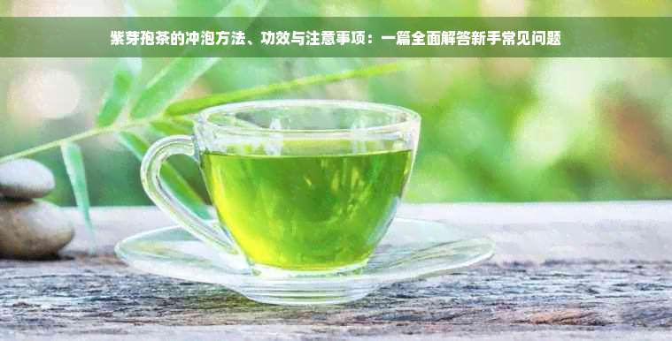 紫芽孢茶的冲泡方法、功效与注意事项：一篇全面解答新手常见问题