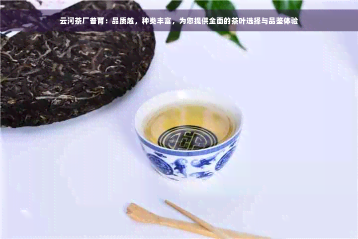 云河茶厂普育：品质越，种类丰富，为您提供全面的茶叶选择与品鉴体验