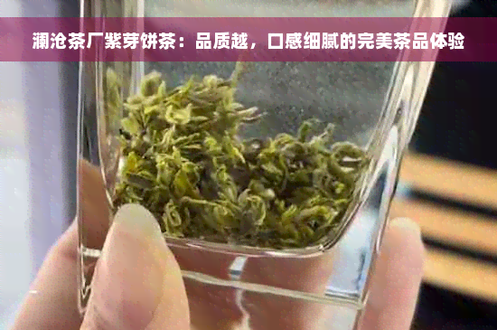 澜沧茶厂紫芽饼茶：品质越，口感细腻的完美茶品体验