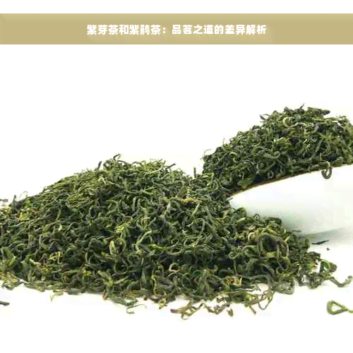 紫芽茶和紫鹃茶：品茗之道的差异解析