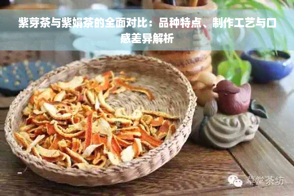 紫芽茶与紫娟茶的全面对比：品种特点、制作工艺与口感差异解析