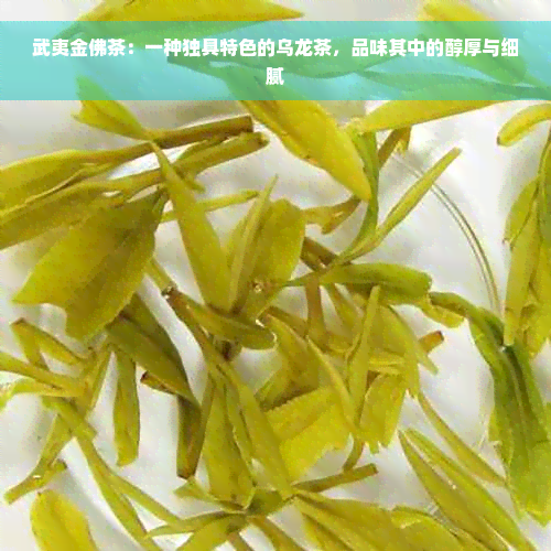 武夷金佛茶：一种独具特色的乌龙茶，品味其中的醇厚与细腻