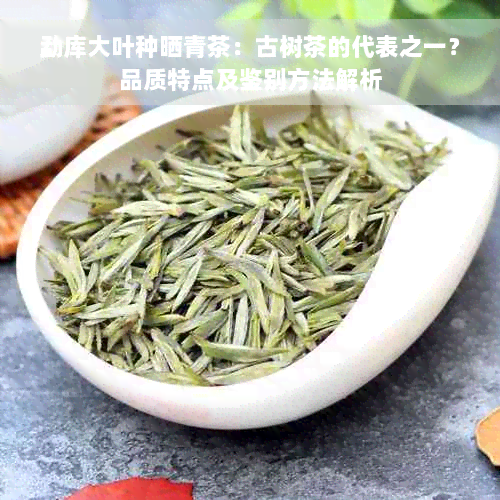 勐库大叶种晒青茶：古树茶的代表之一？品质特点及鉴别方法解析