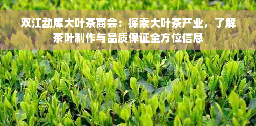 双江勐库大叶茶商会：探索大叶茶产业，了解茶叶制作与品质保证全方位信息