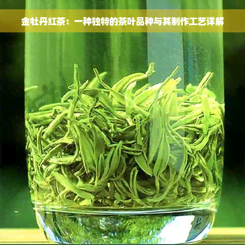 金牡丹红茶：一种独特的茶叶品种与其制作工艺详解