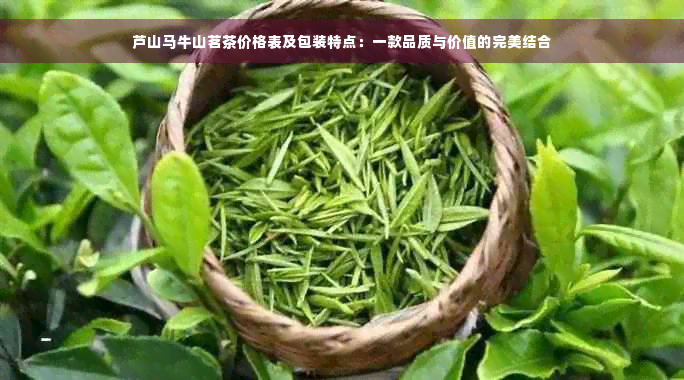 芦山马牛山茗茶价格表及包装特点：一款品质与价值的完美结合