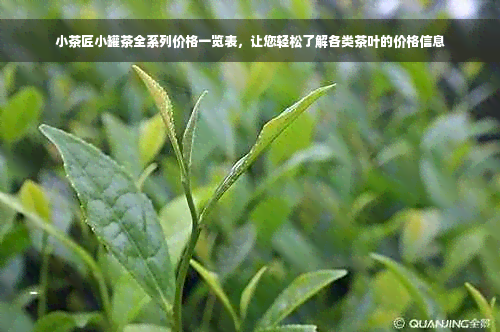 小茶匠小罐茶全系列价格一览表，让您轻松了解各类茶叶的价格信息