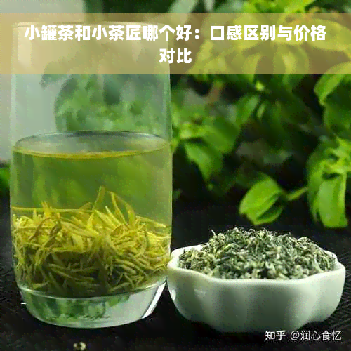 小罐茶和小茶匠哪个好：口感区别与价格对比