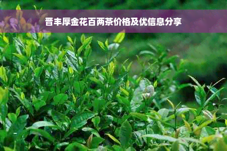 晋丰厚金花百两茶价格及优信息分享