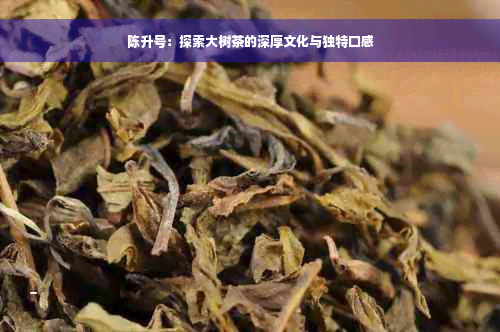 陈升号：探索大树茶的深厚文化与独特口感