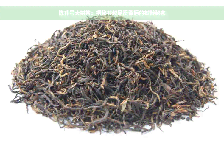 陈升号大树茶：揭秘其越品质背后的树龄秘密