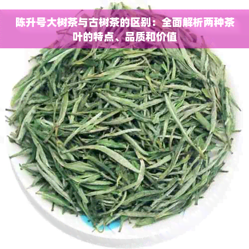 陈升号大树茶与古树茶的区别：全面解析两种茶叶的特点、品质和价值