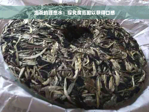 泡茶的理想水：探究度范围以获得口感