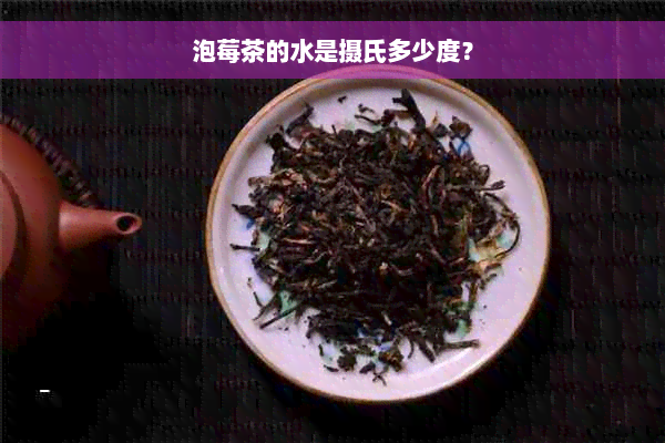 泡莓茶的水是摄氏多少度？