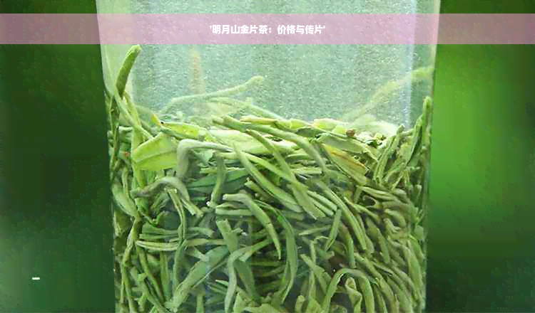 '明月山金片茶：价格与传片'