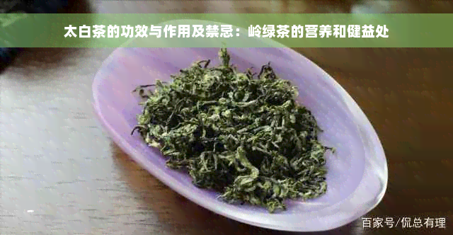 太白茶的功效与作用及禁忌：岭绿茶的营养和健益处