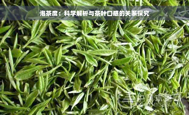 泡茶度：科学解析与茶叶口感的关系探究