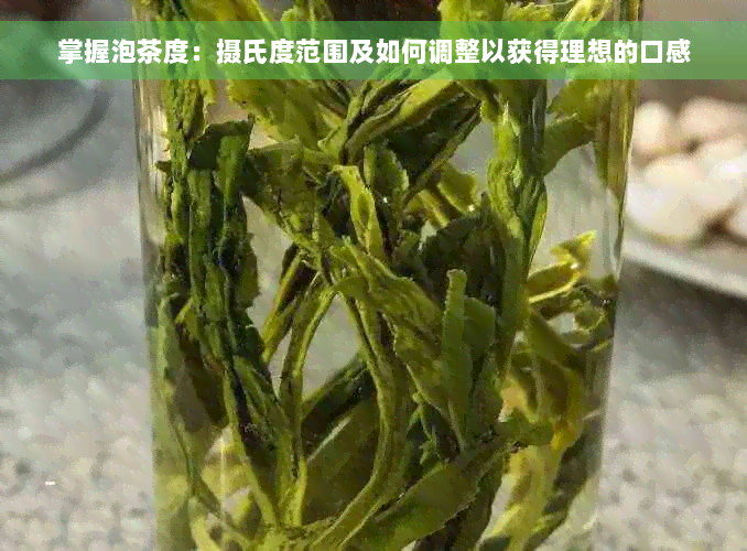 掌握泡茶度：摄氏度范围及如何调整以获得理想的口感