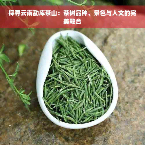 探寻云南勐库茶山：茶树品种、景色与人文的完美融合