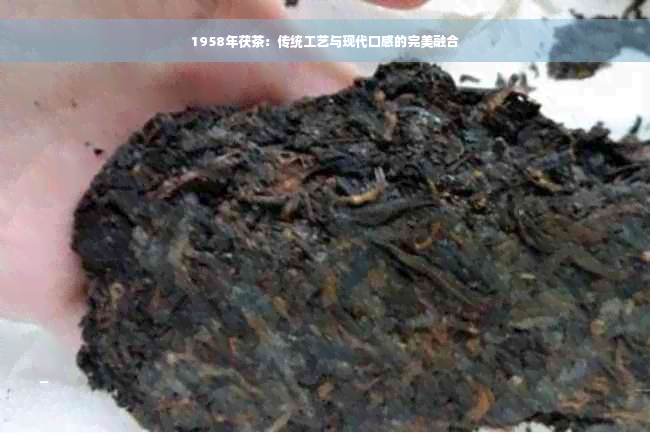 1958年茯茶：传统工艺与现代口感的完美融合