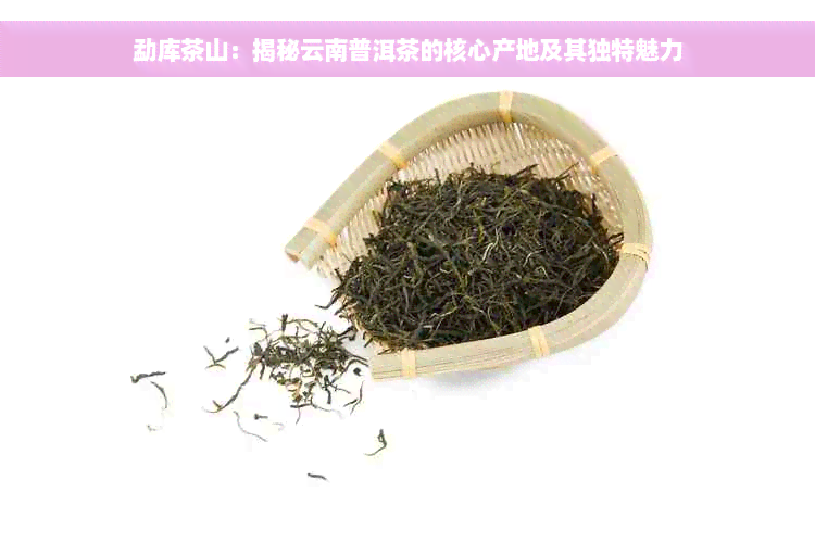 勐库茶山：揭秘云南普洱茶的核心产地及其独特魅力