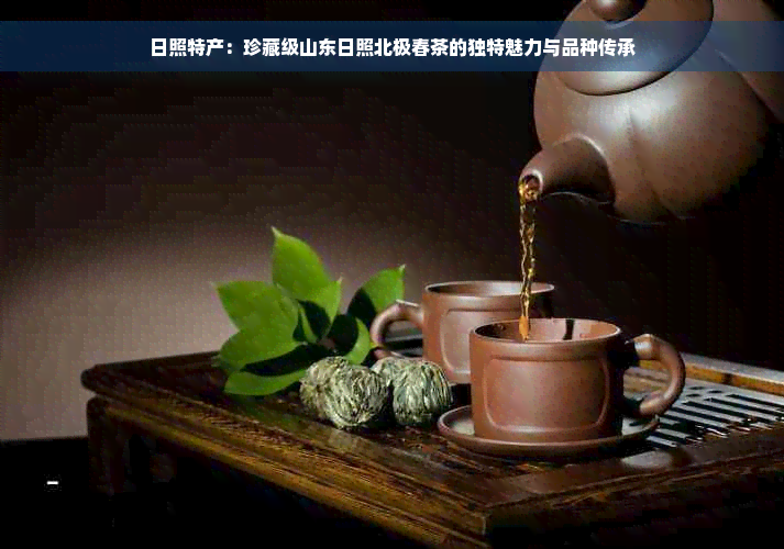 日照特产：珍藏级山东日照北极春茶的独特魅力与品种传承