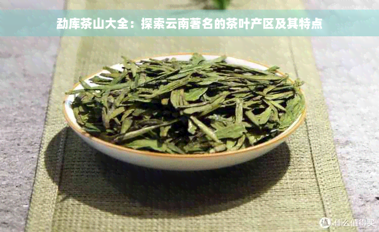 勐库茶山大全：探索云南著名的茶叶产区及其特点