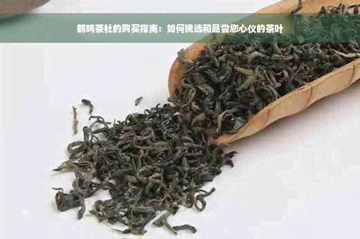 鹤鸣茶社的购买指南：如何挑选和品尝您心仪的茶叶