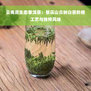 云南原生态普洱茶：景迈山古树白茶的精工艺与独特风味