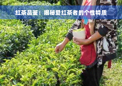 红茶品鉴：揭秘爱红茶者的个性特质